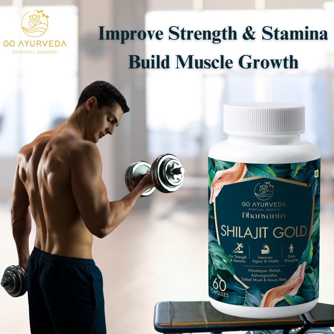 Shilajit Gold Capsules | Pure Himalayan Shilajit | Boosts Testosterone | Promotes Muscle Recovery and Strength