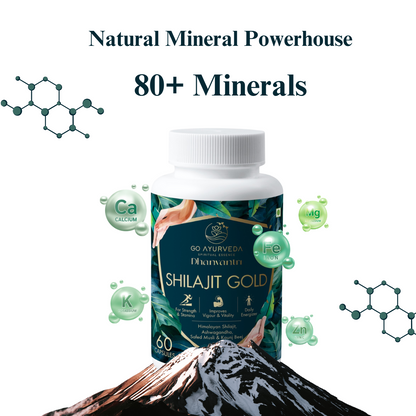 Shilajit Gold Capsules | Pure Himalayan Shilajit | Boosts Testosterone | Promotes Muscle Recovery and Strength