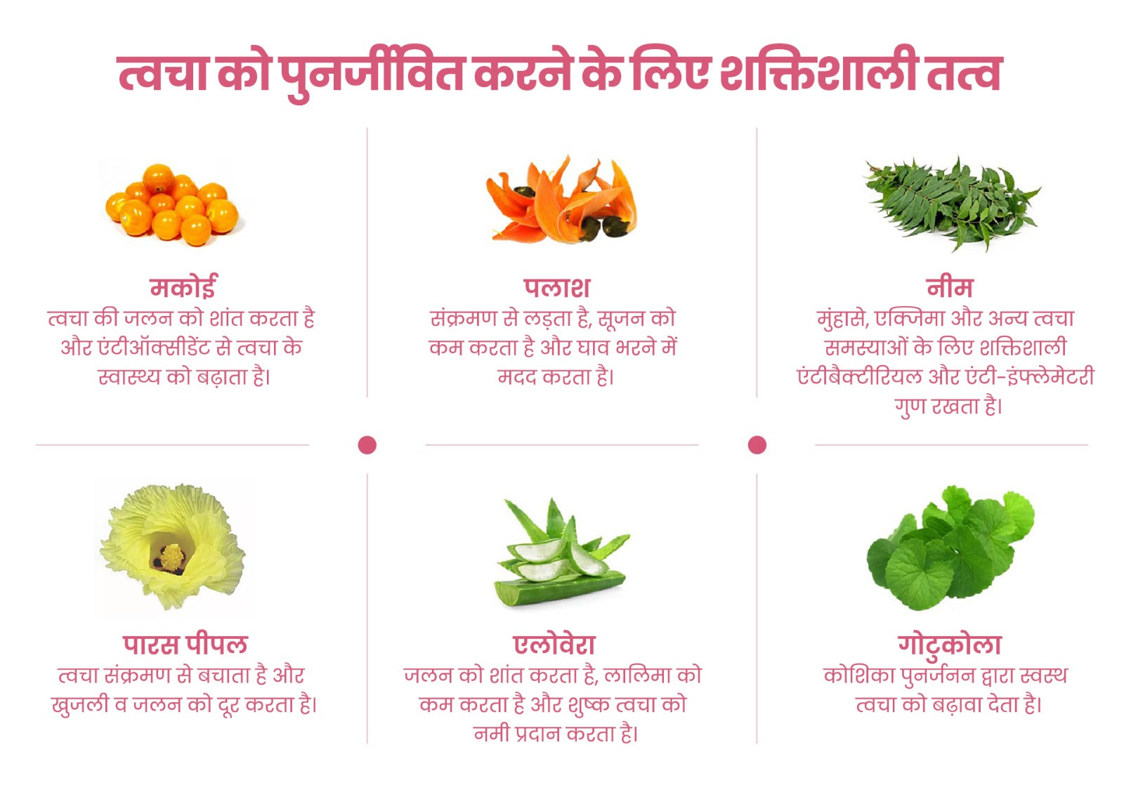 Go Ayurveda Dhanvantri
