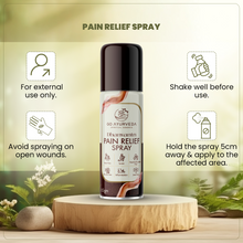 Load image into Gallery viewer, Go Ayurveda Dhanvantri Pain Relief Spray
